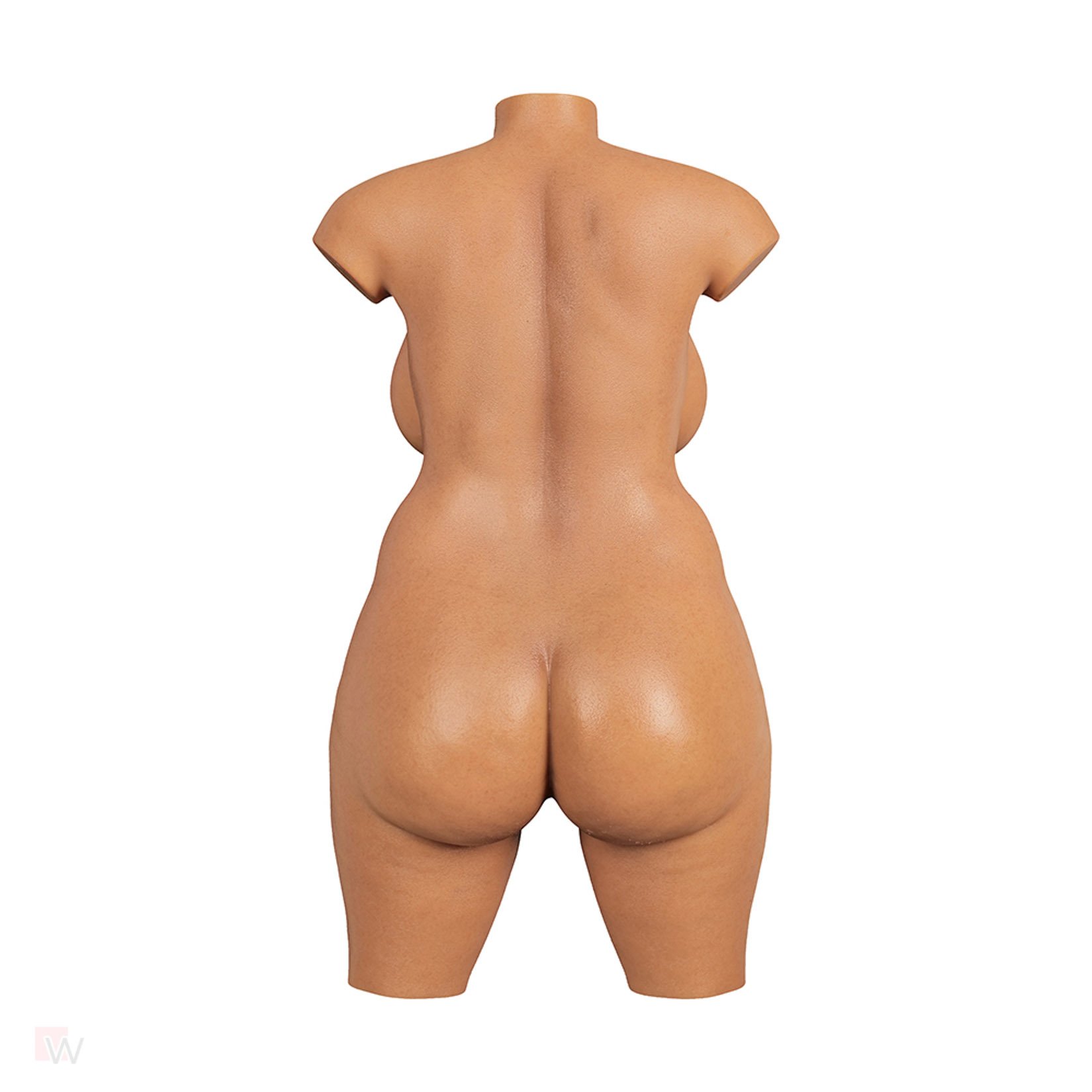 Sex Doll Torso Olivia – Bild 7