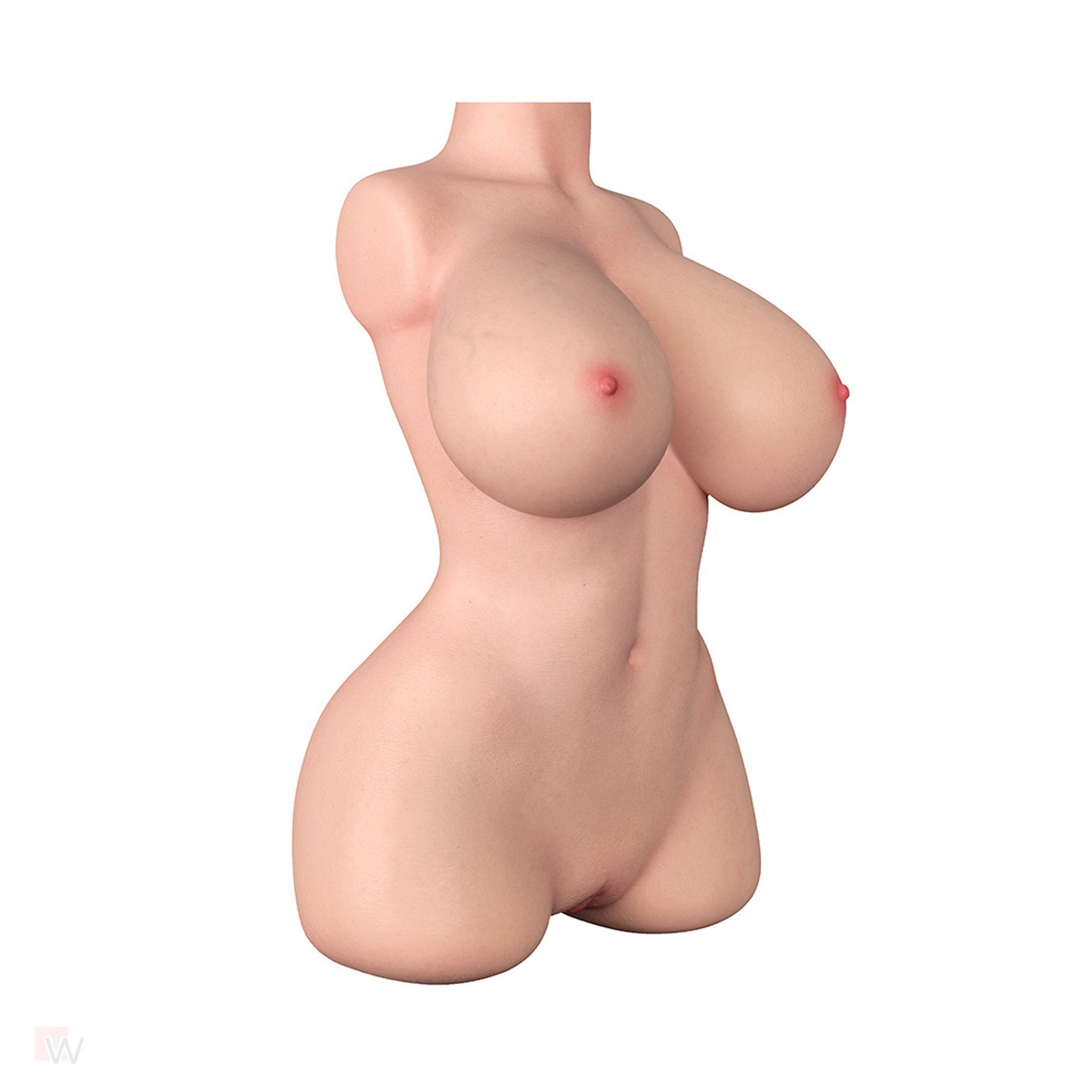 Sex Doll Torso Veronica – Bild 10