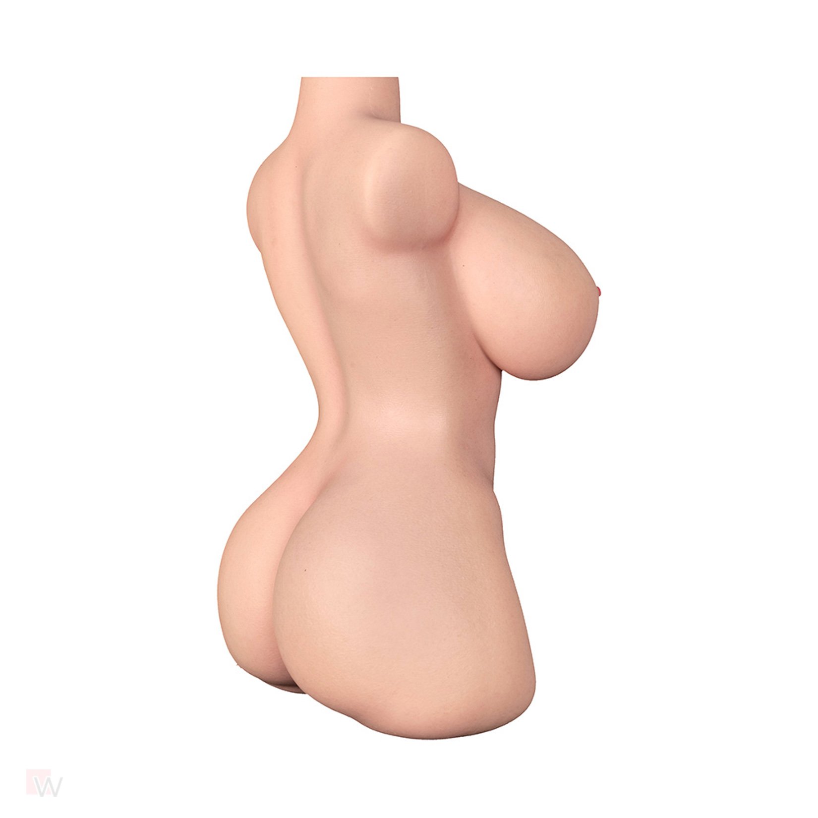 Sex Doll Torso Veronica – Bild 8