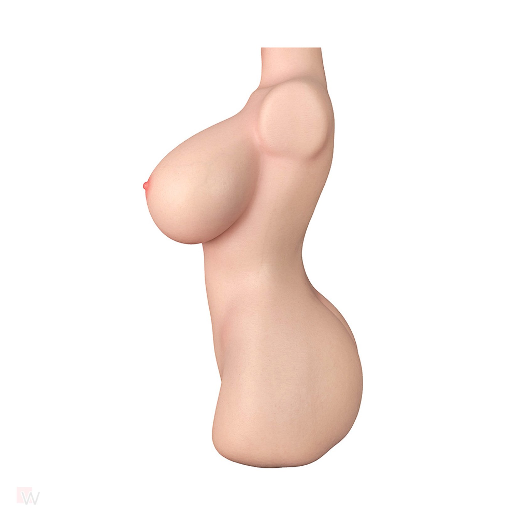 Sex Doll Torso Veronica – Bild 5