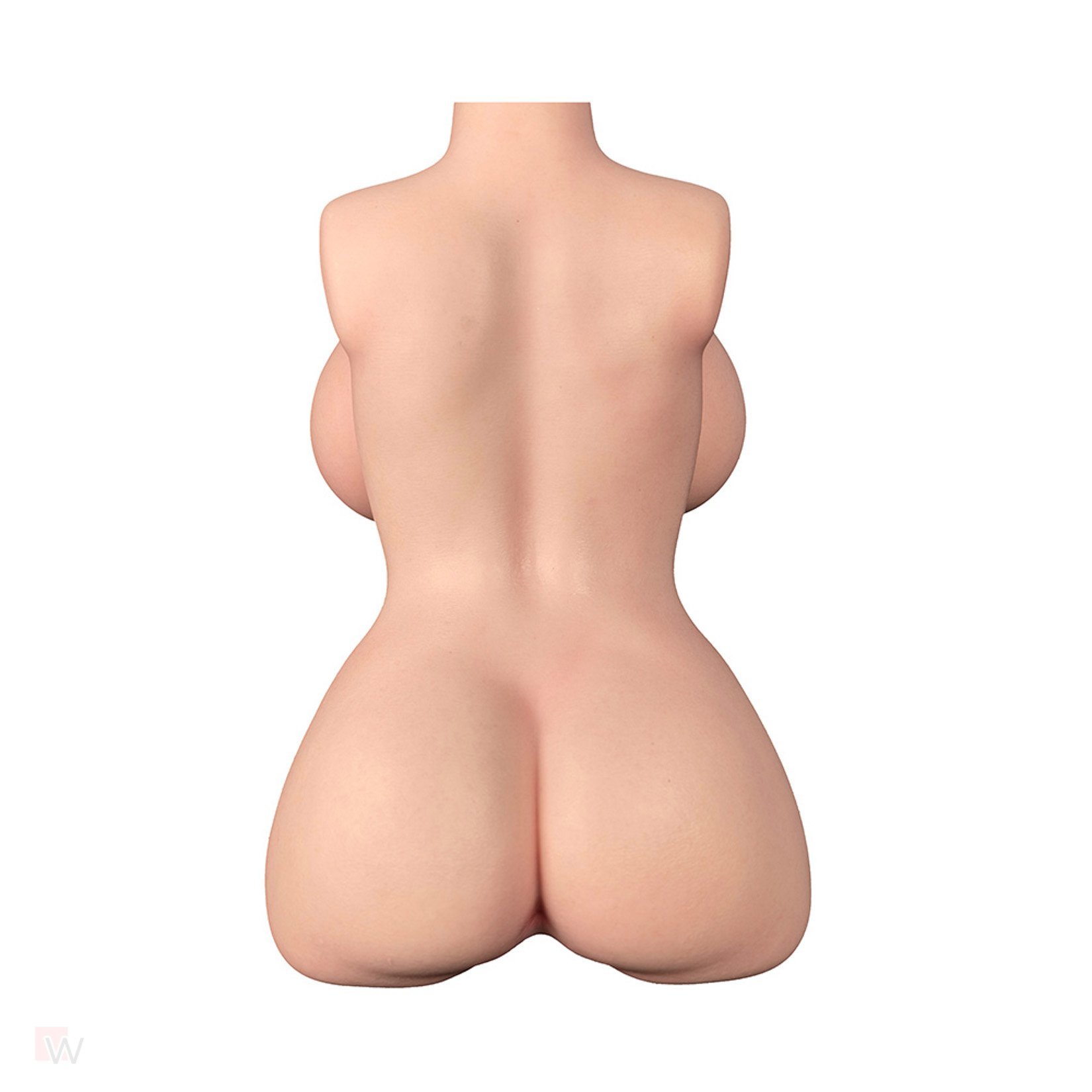 Sex Doll Torso Veronica – Bild 7
