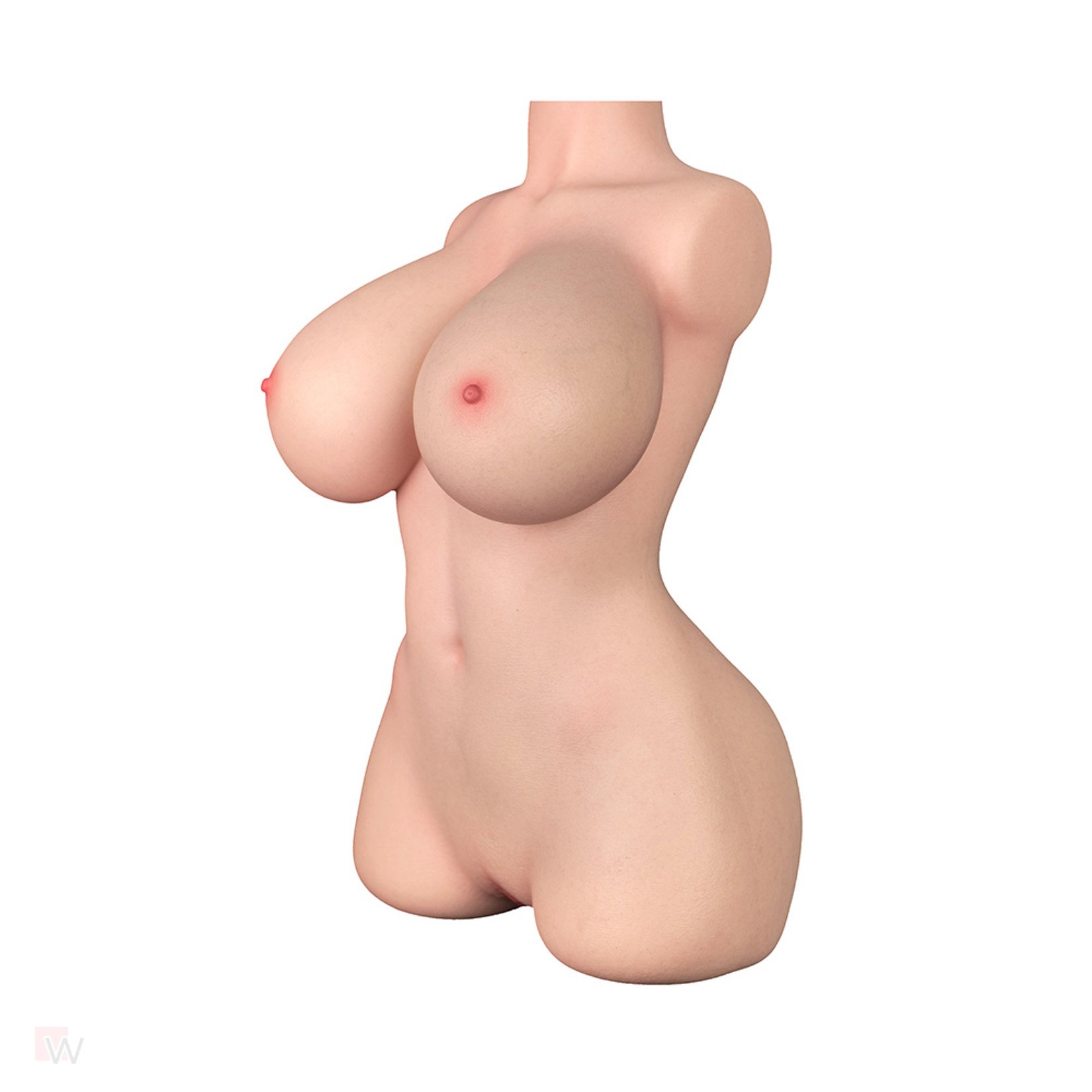 Sex Doll Torso Veronica – Bild 4