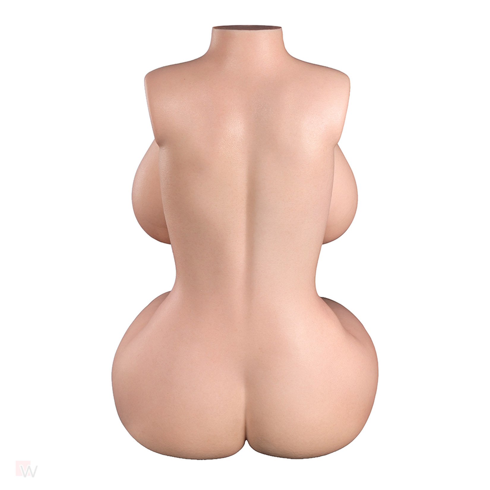 Sex Doll Torso Vanessa – Bild 11