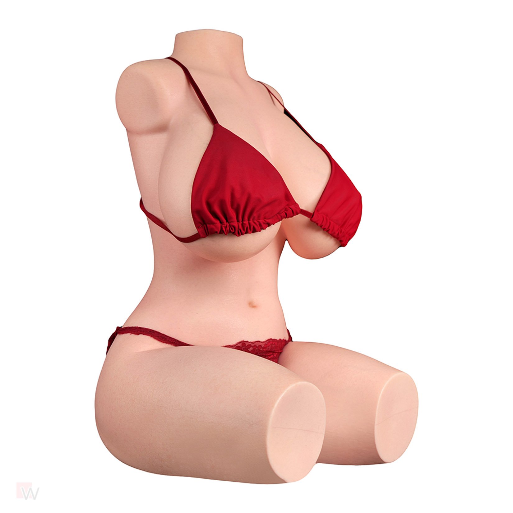 Sex Doll Torso Vanessa – Bild 4