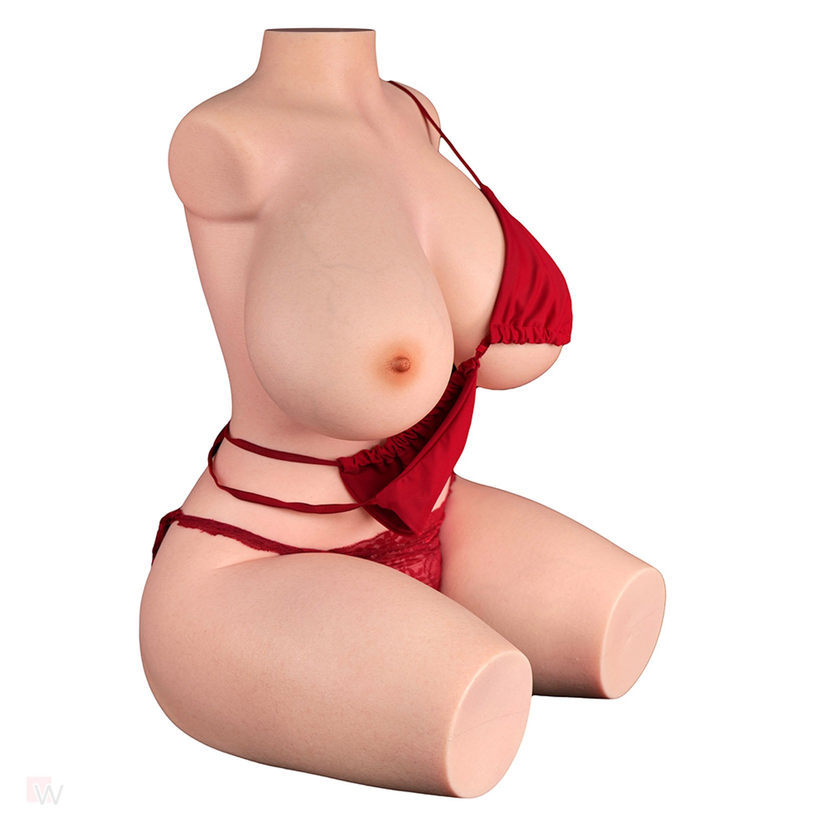 Sex Doll Torso Vanessa – Bild 5