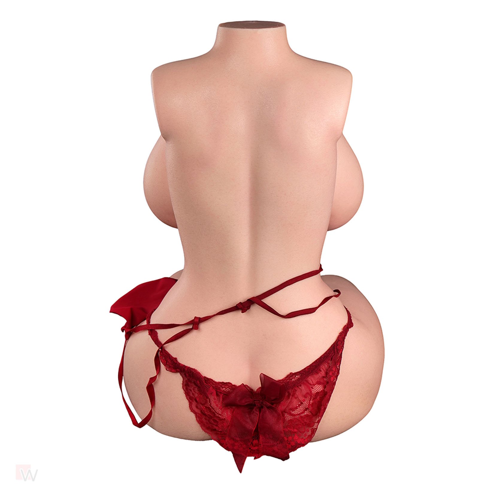Sex Doll Torso Vanessa – Bild 6