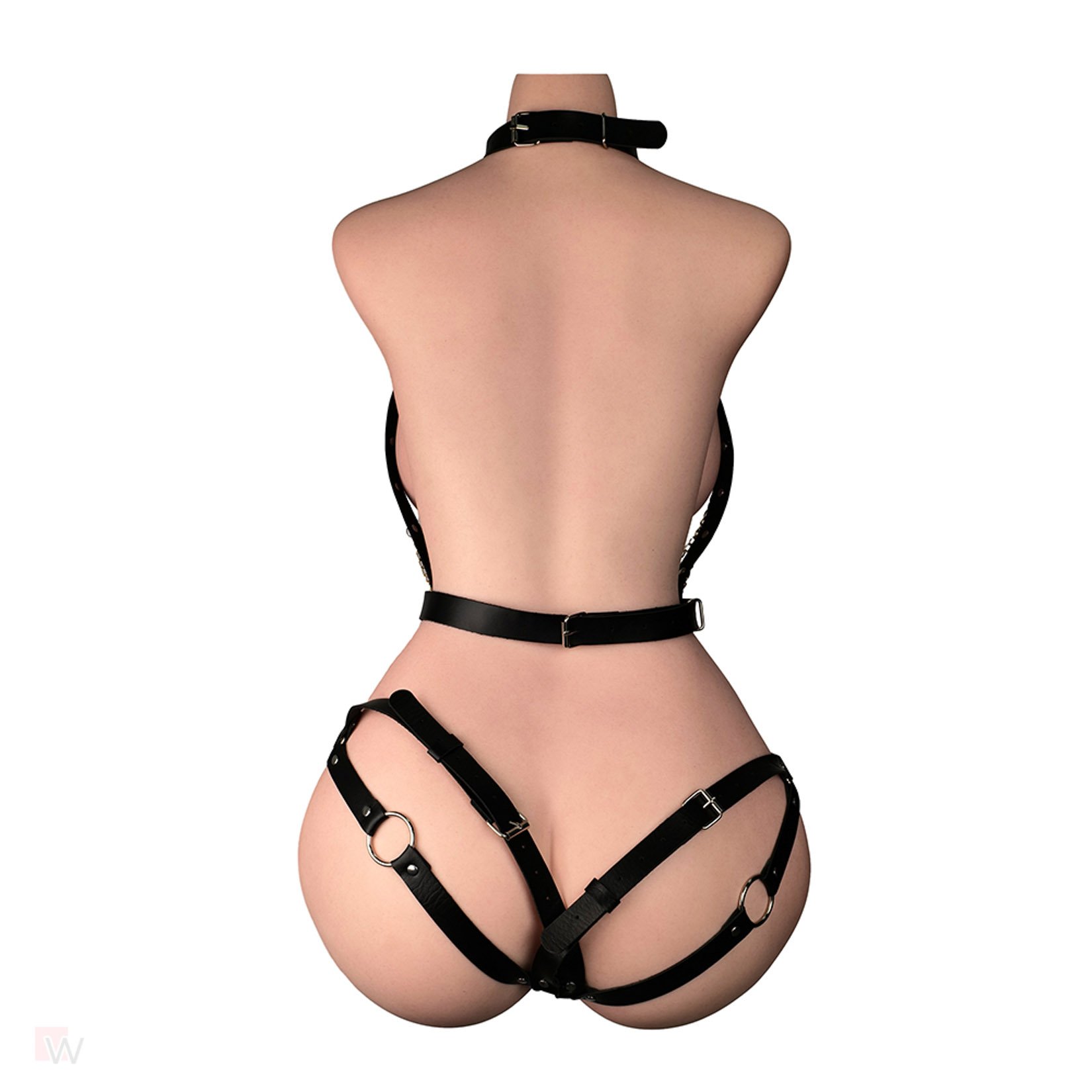 Sex Doll Torso Savannah – Bild 3