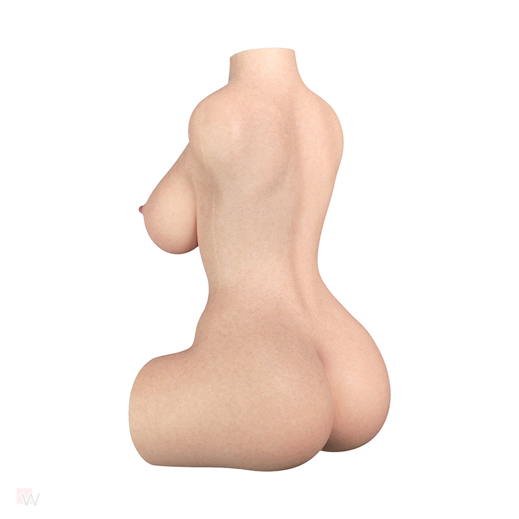 Sex Doll Torso Sarah – Bild 4