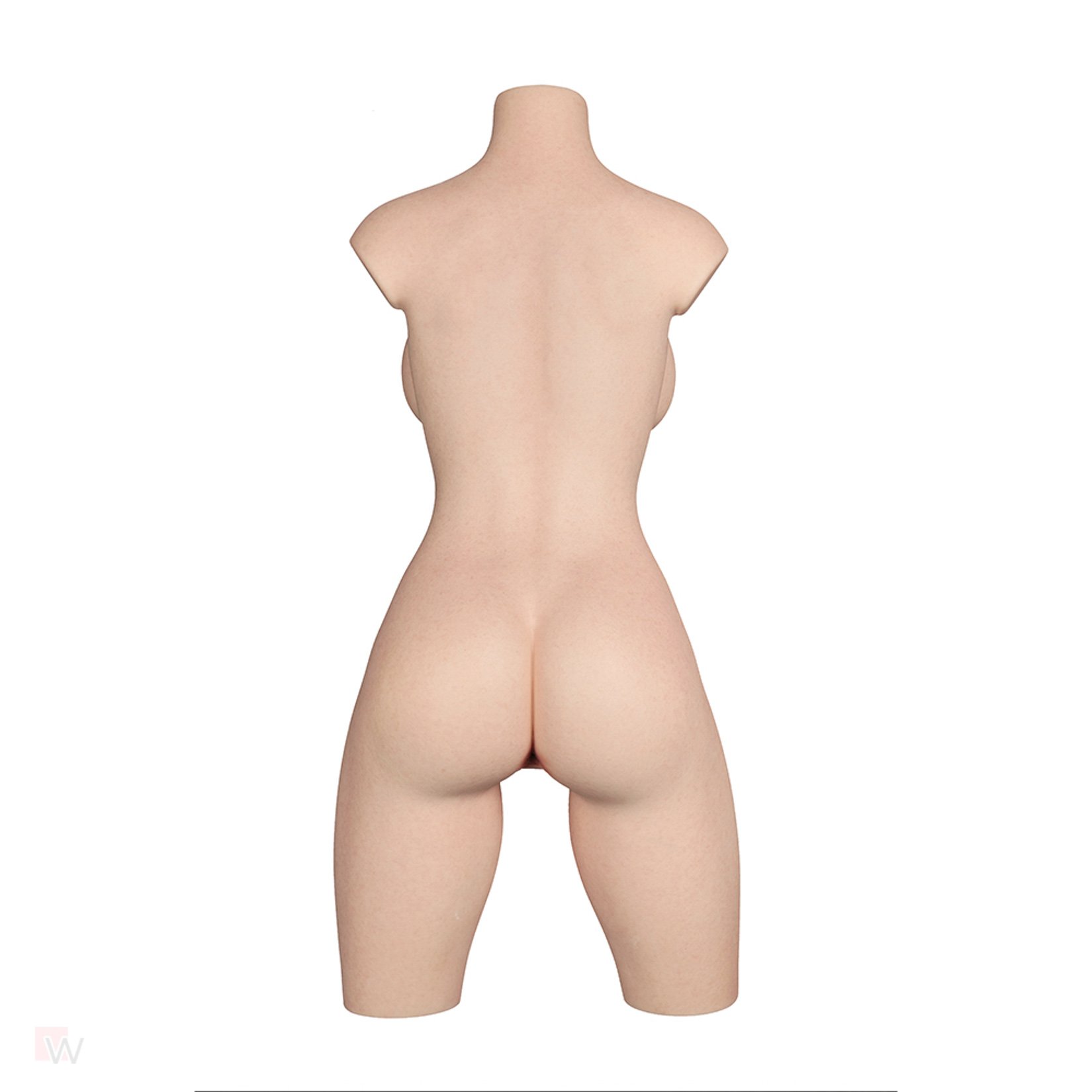 Sex Doll Torso Rina – Bild 7