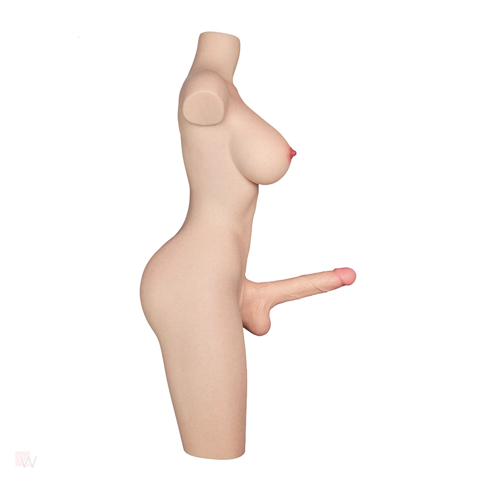 Sex Doll Torso Rina – Bild 9