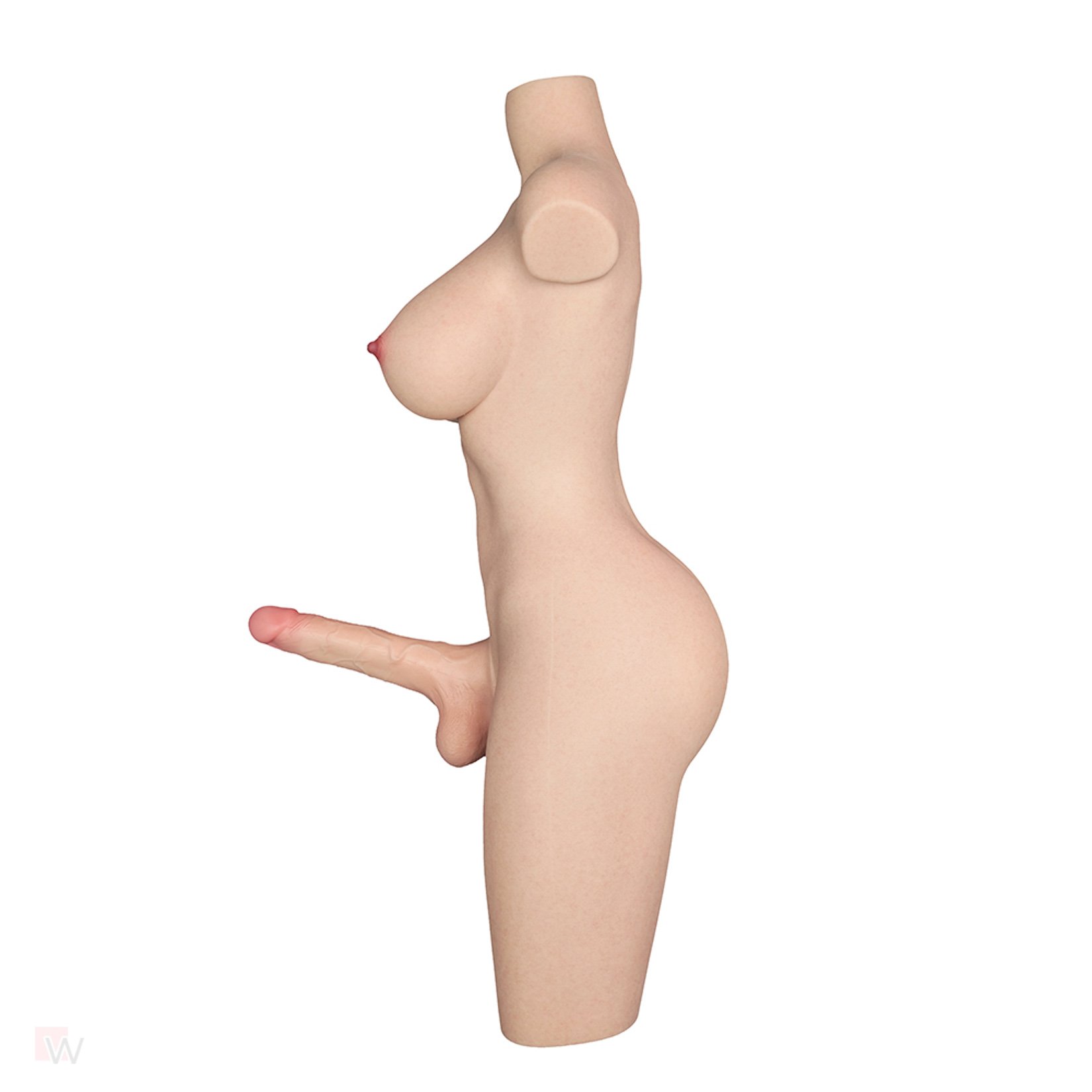 Sex Doll Torso Rina – Bild 5