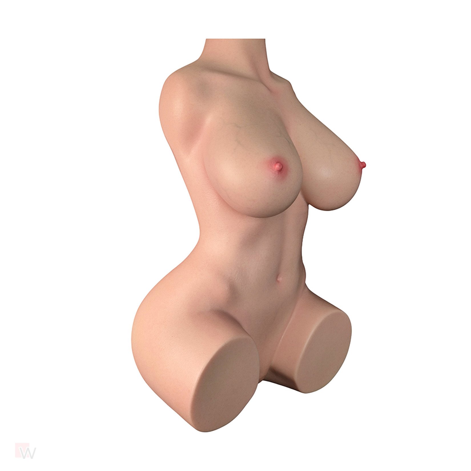 Sex Doll Torso Quinn – Bild 9