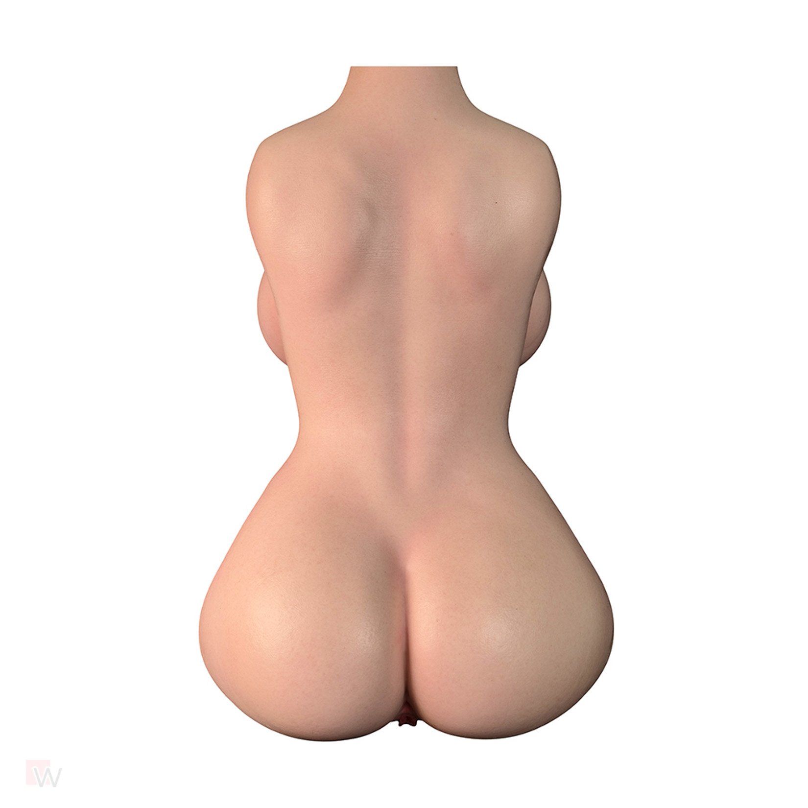 Sex Doll Torso Quinn – Bild 10