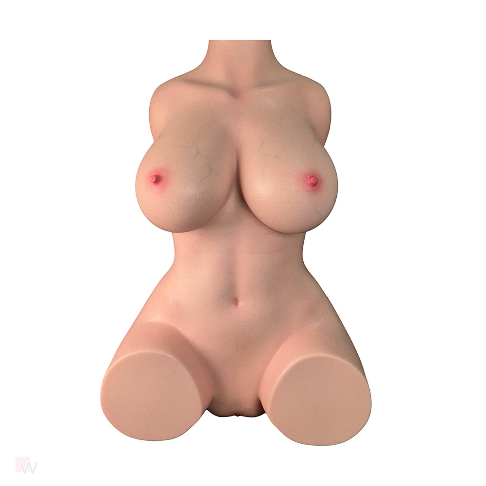 Sex Doll Torso Quinn – Bild 6