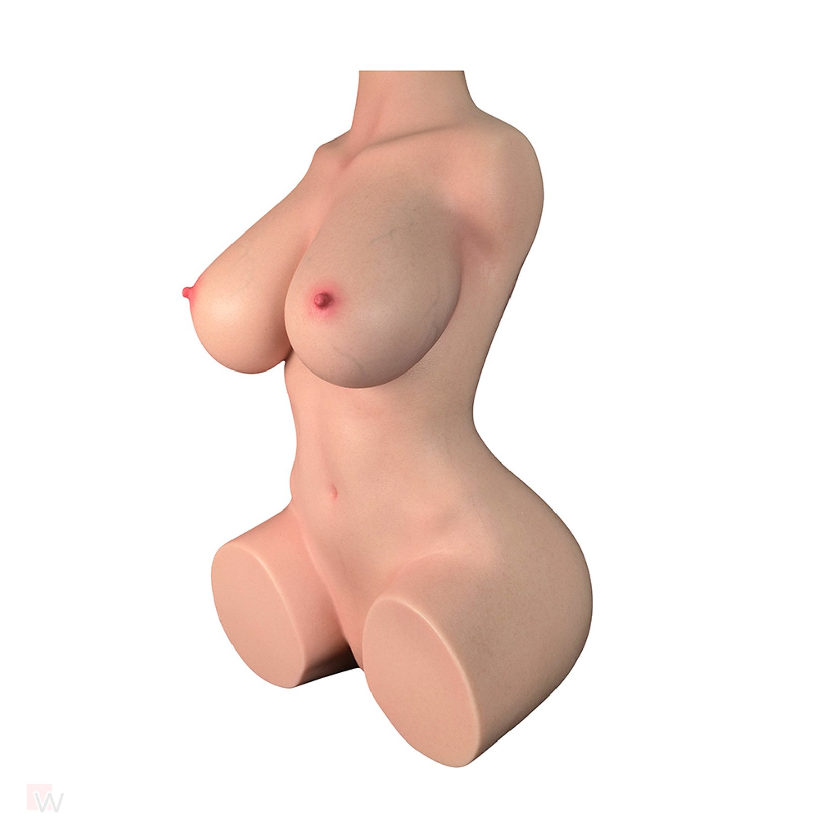 Sex Doll Torso Quinn – Bild 7