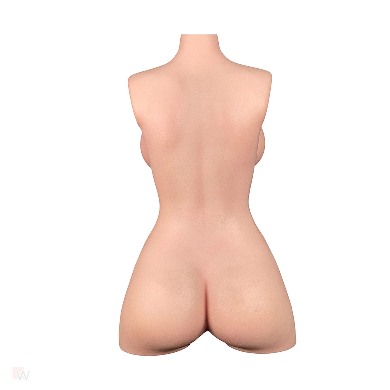 Sex Doll Torso Madison – Bild 5