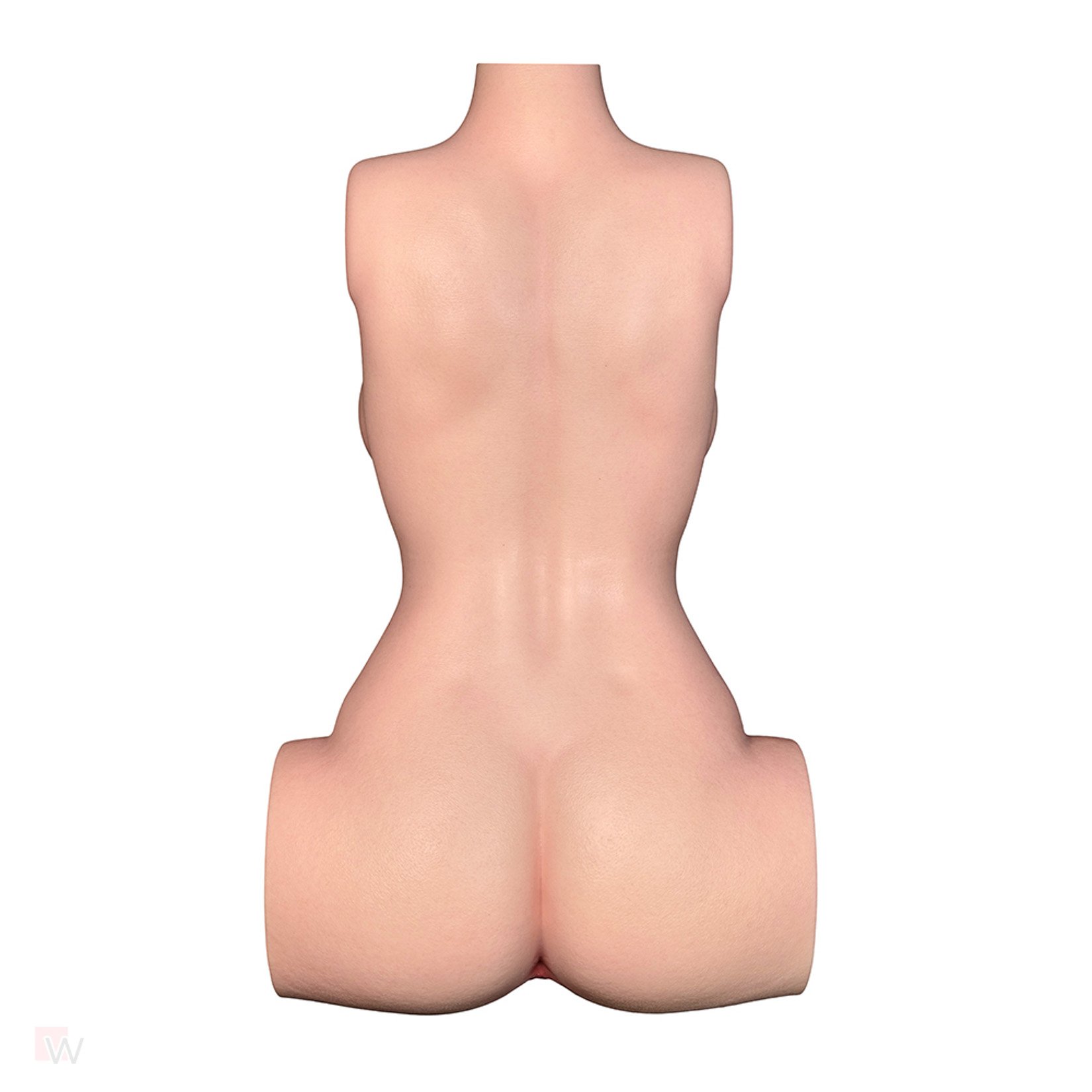 Sex Doll Torso Jessica – Bild 10