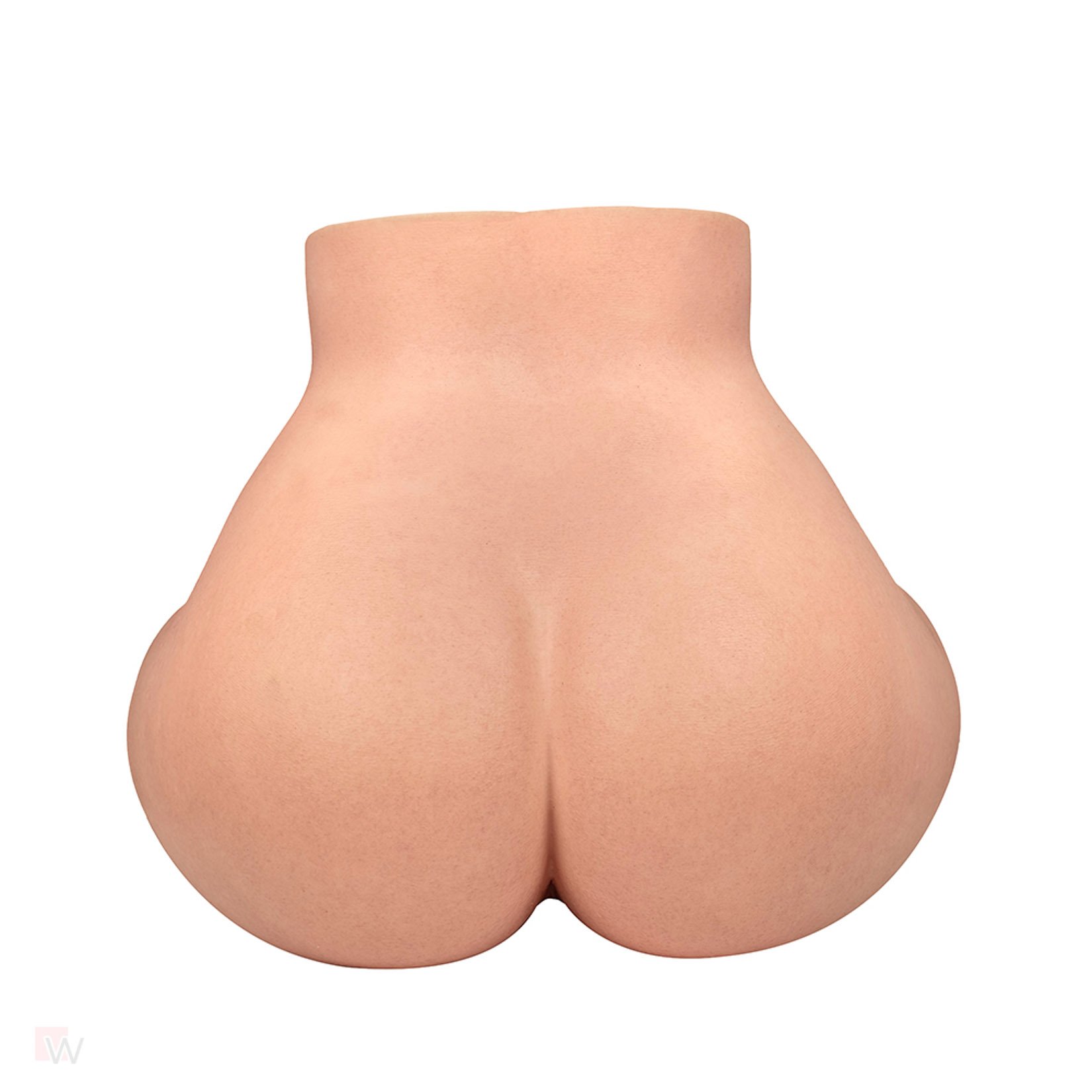 Sex Doll Torso Gina – Bild 7