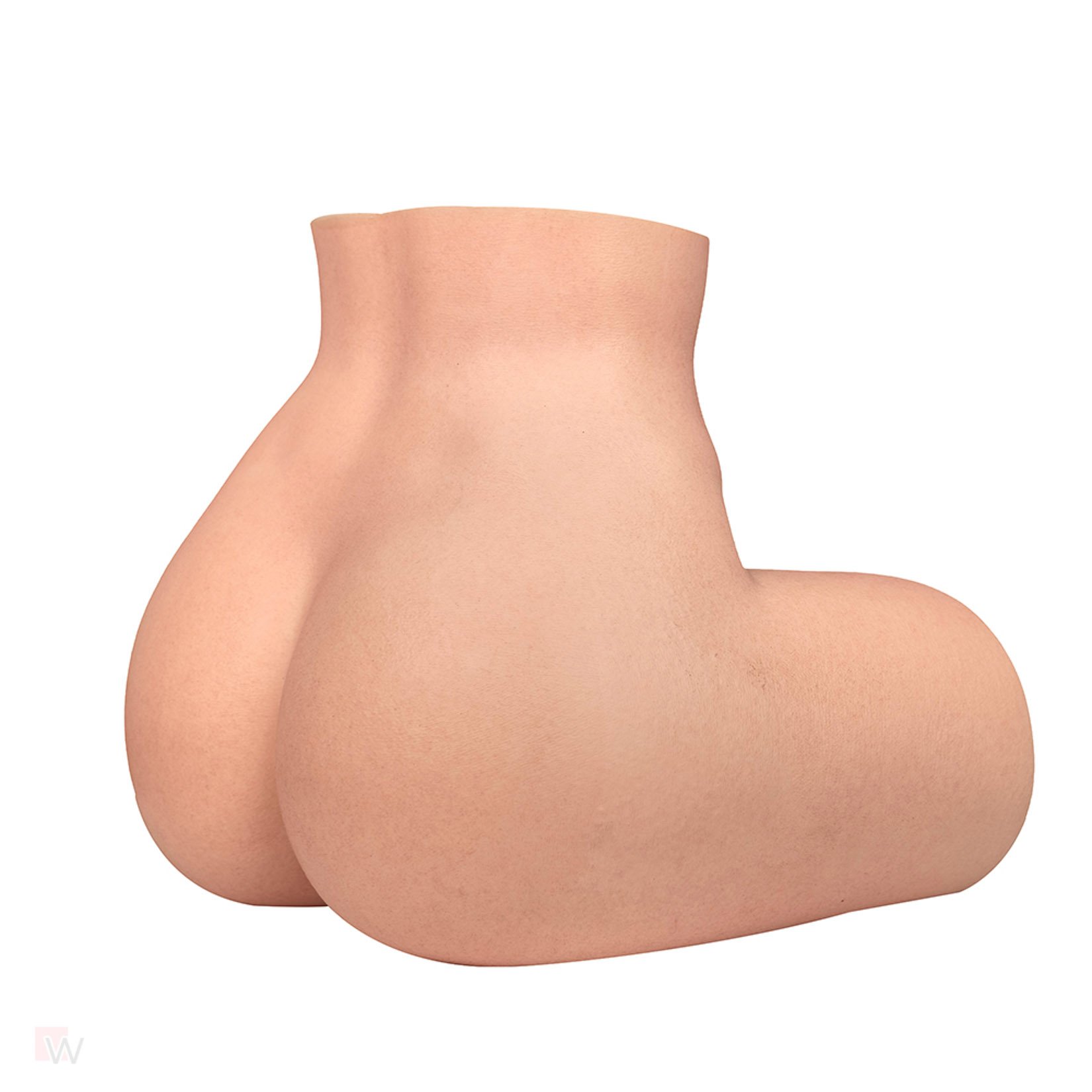 Sex Doll Torso Gina – Bild 8