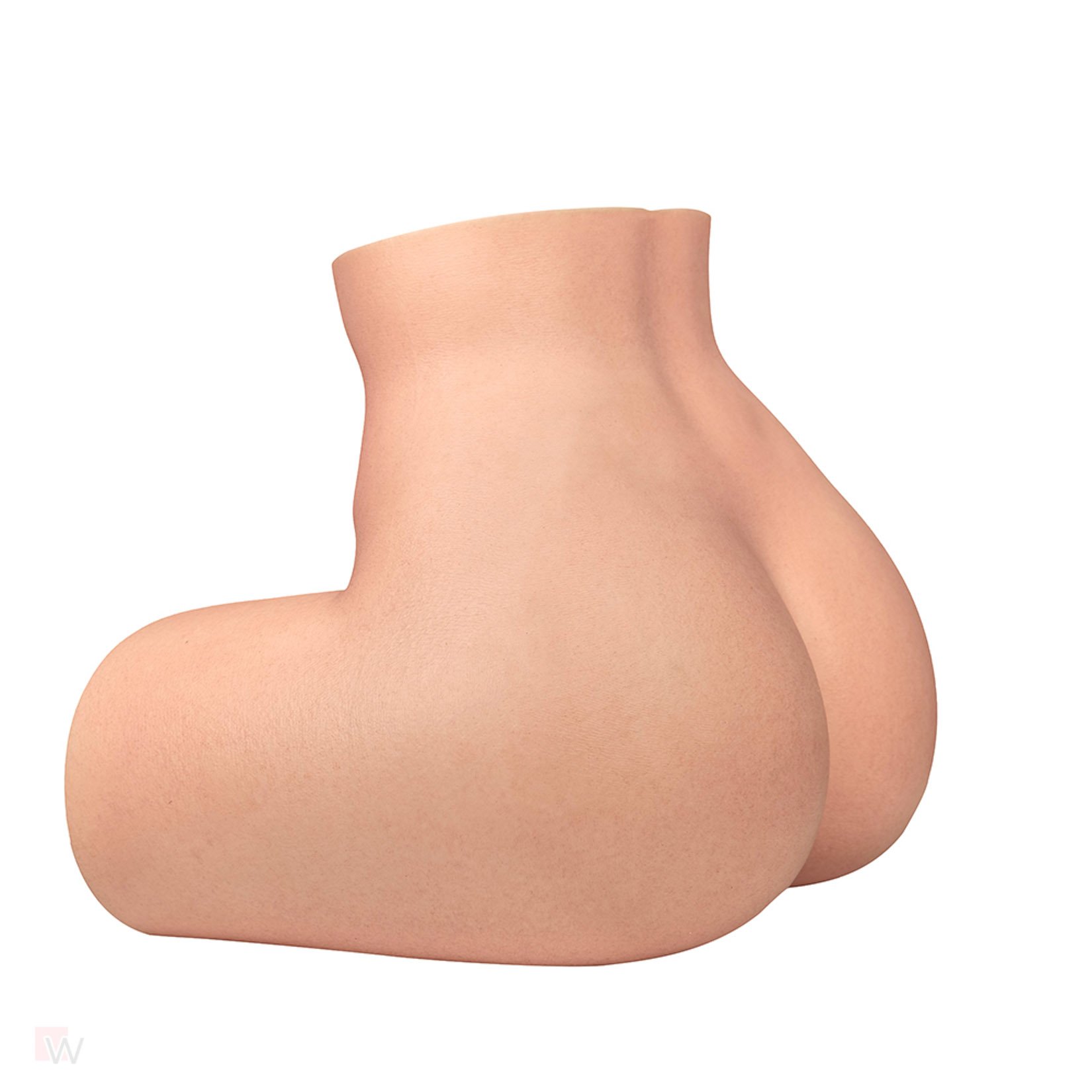 Sex Doll Torso Gina – Bild 6