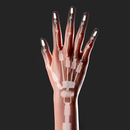 Mit verstärkten Fingergelenken