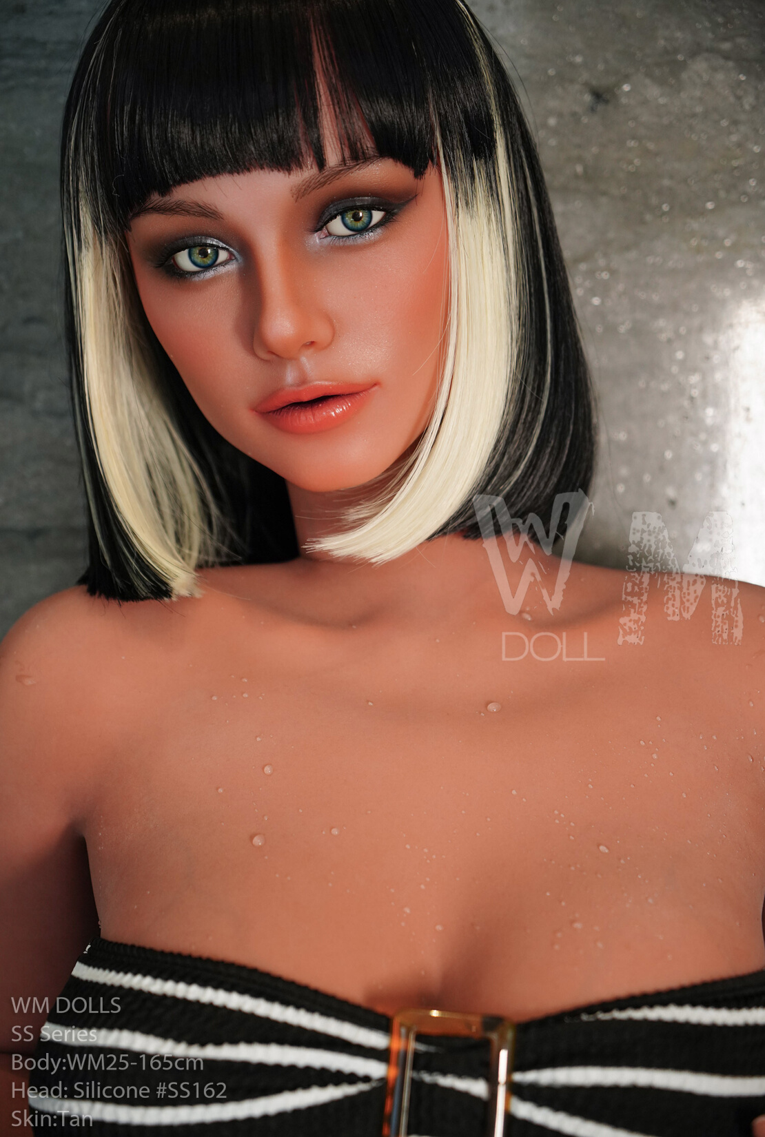 Ashley - WM 165 SS – Bild 4