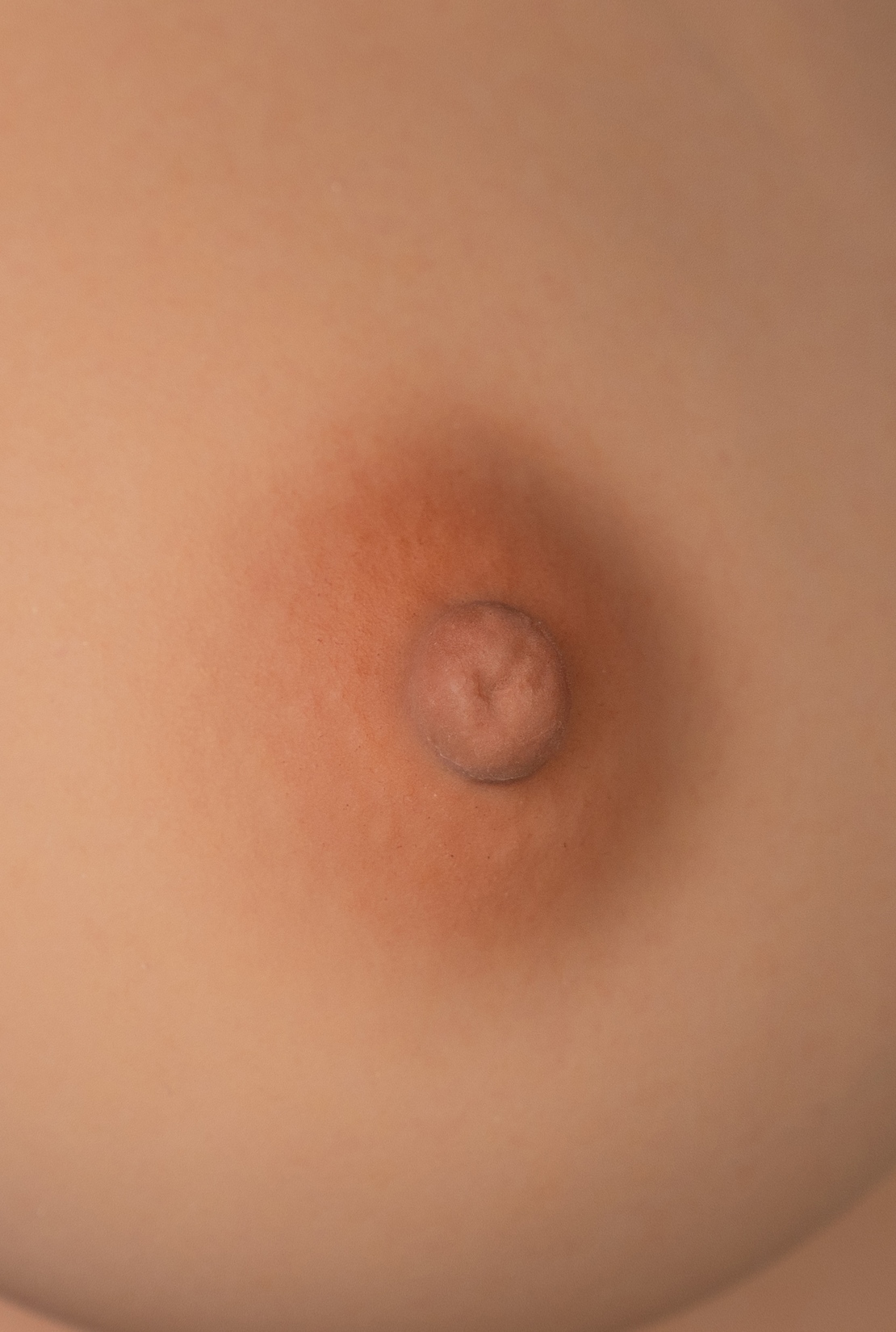 Yuki - Tayu Nova 148cm D – Bild 14