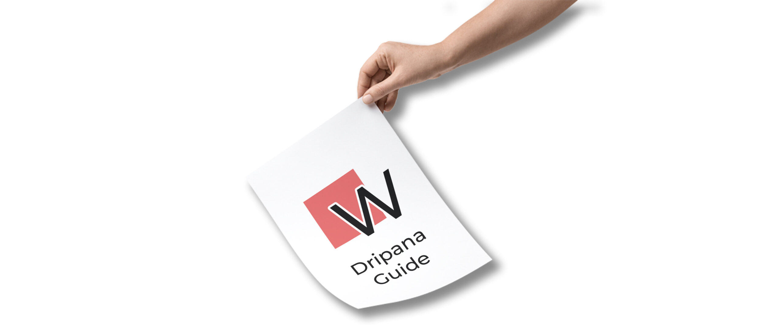 dripana sex dolls guide