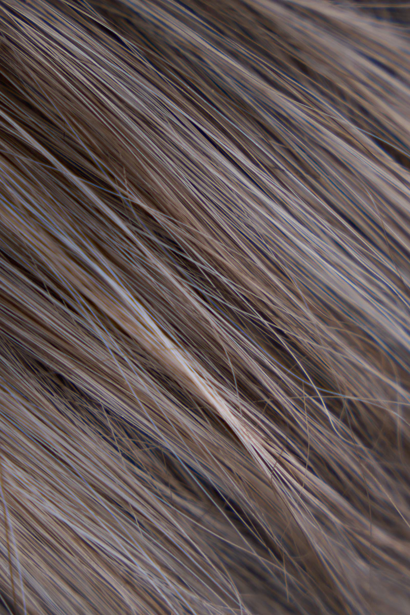 Gemischte Haarfarbe 2