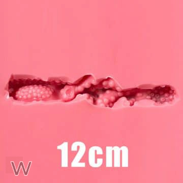 12cm