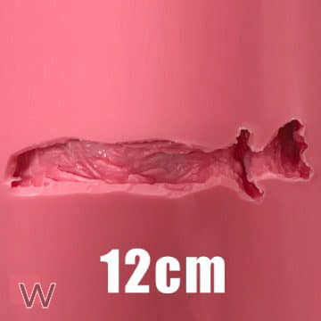 12cm