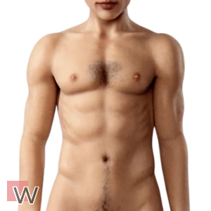 Realistische Körperbemalung (+160,00 €)