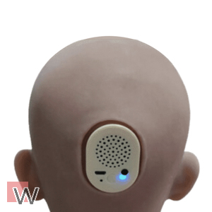 Audio-System (+119,00 €)