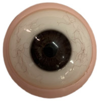 handbemalt/blutunterlaufenen