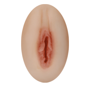 normal 2