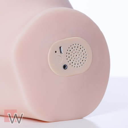 Audio-System (+149,00 €)