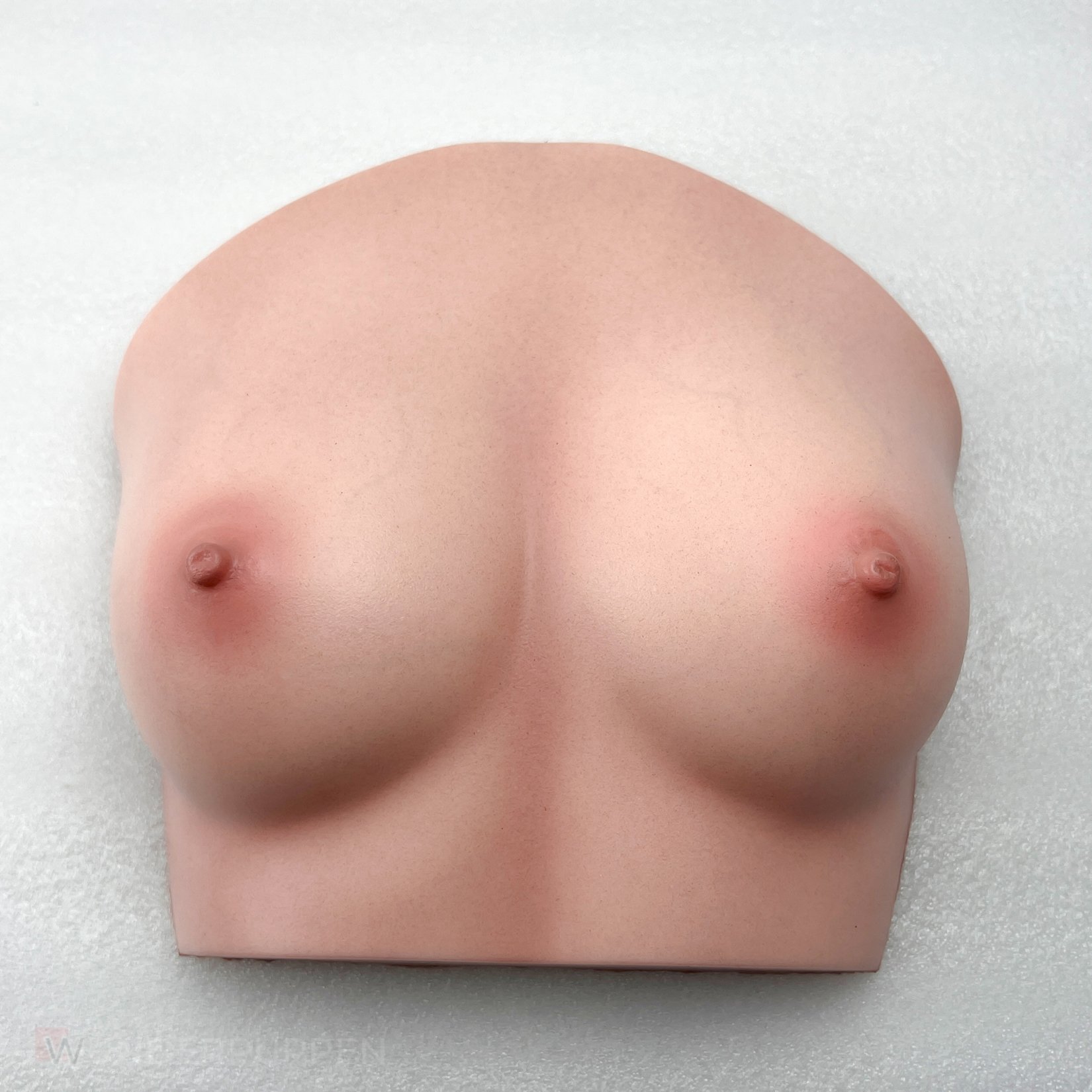 CLM - Torso Brüste B59 – Bild 18