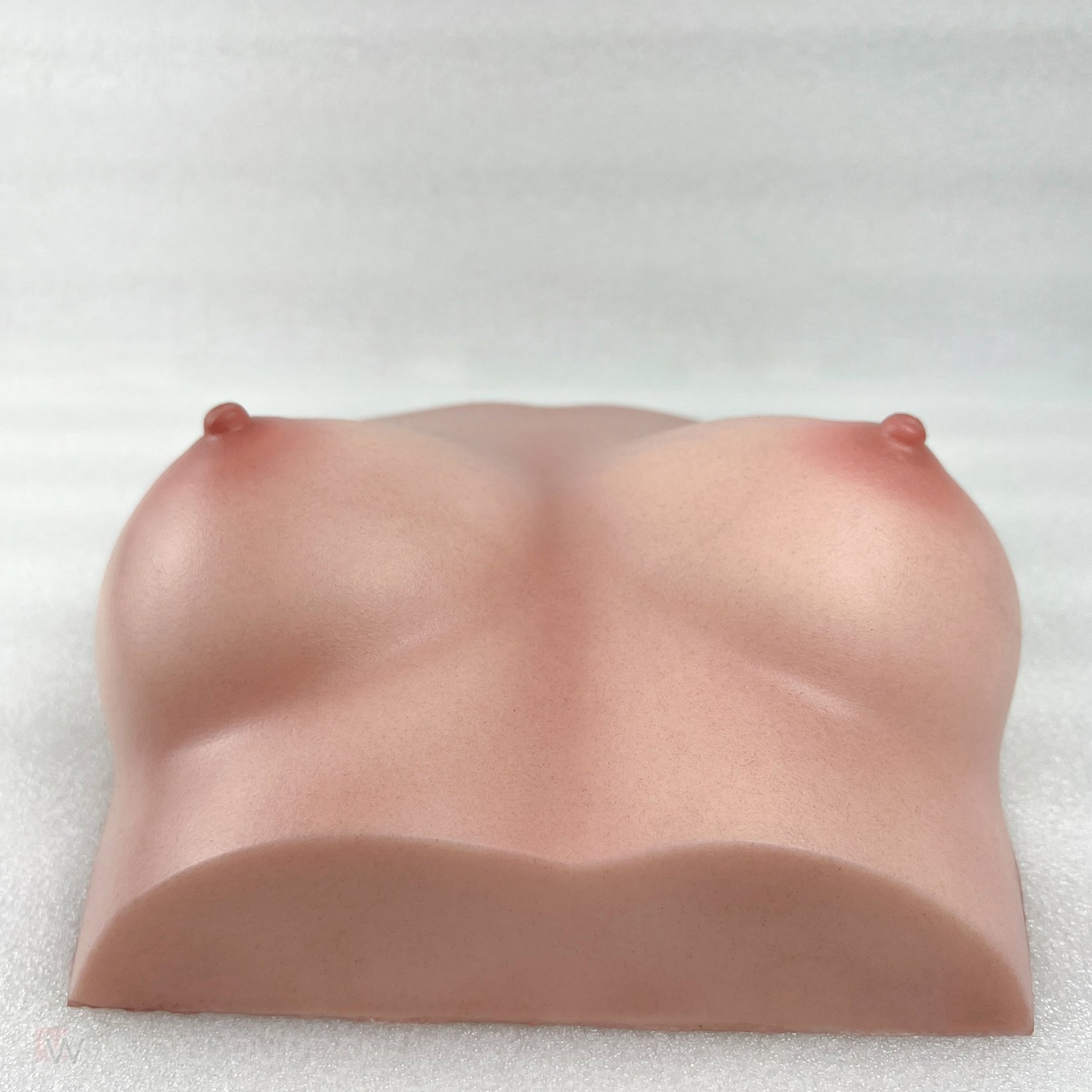CLM - Torso Brüste B59 – Bild 19