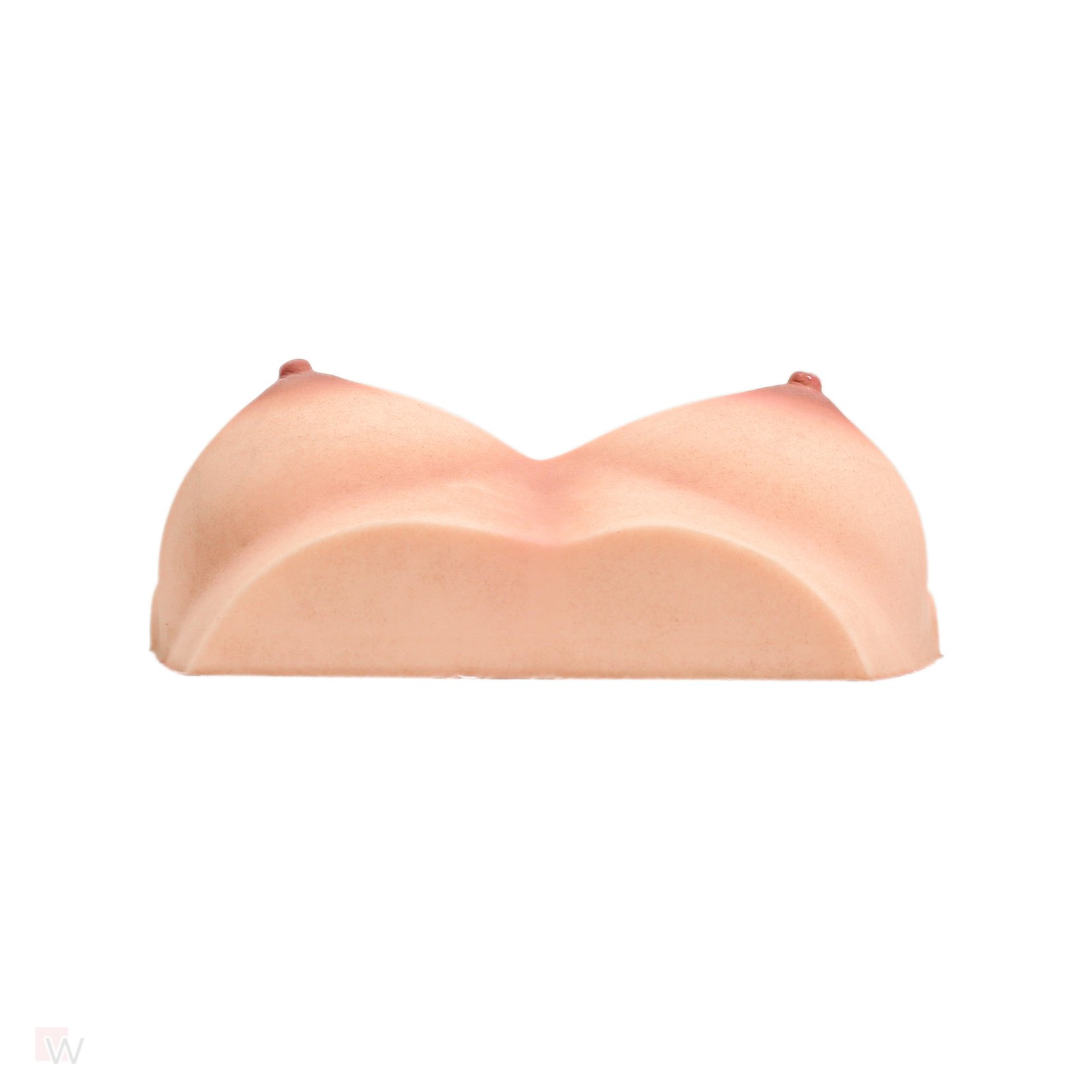 CLM - Torso Brüste B59 – Bild 6