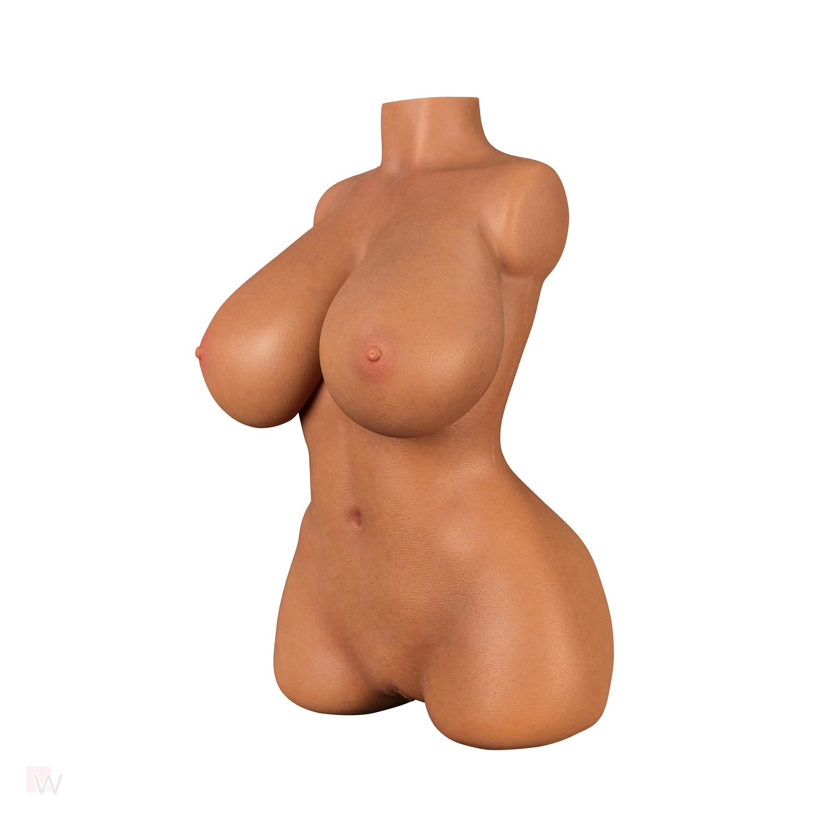 Sex Doll Torso Veronica – Bild 4