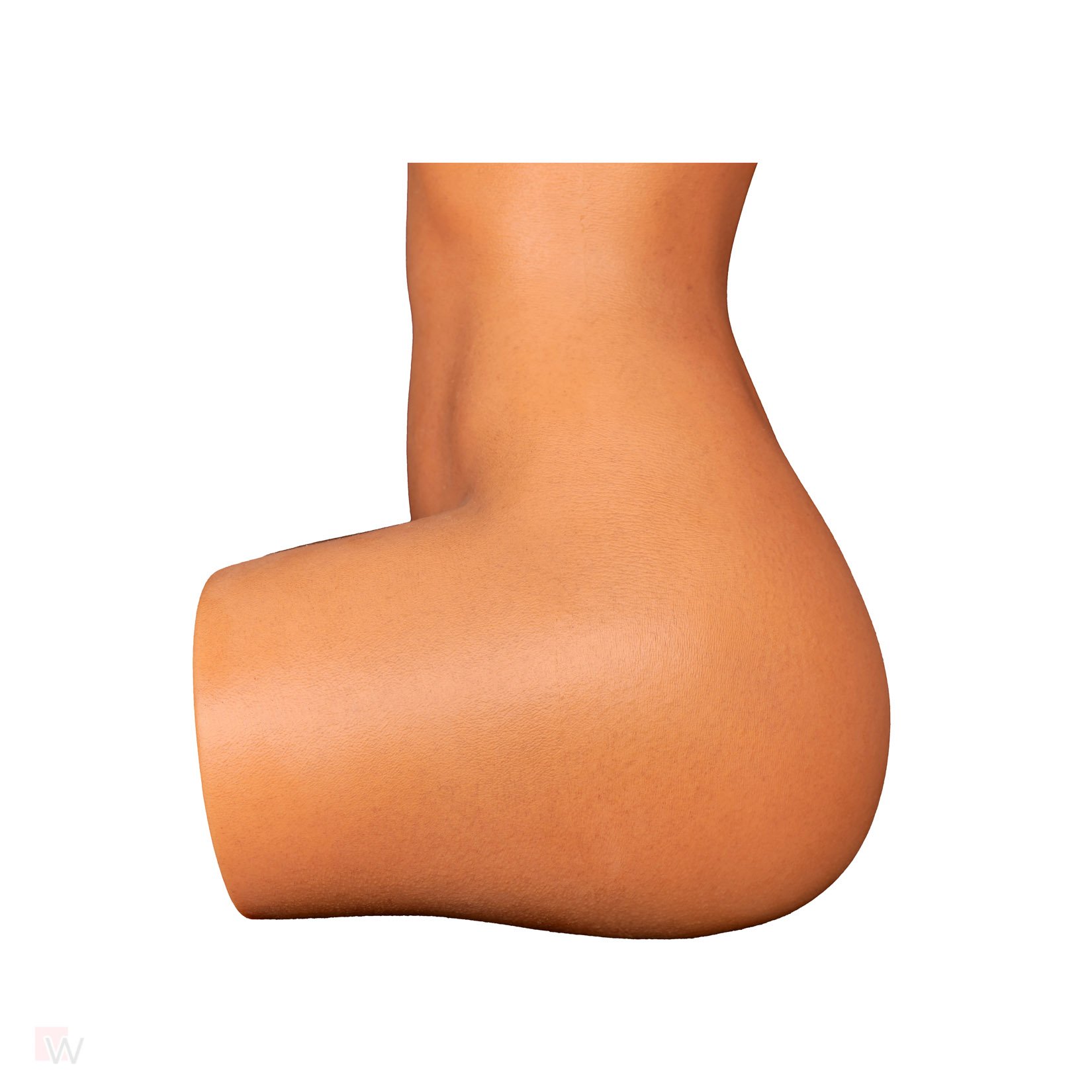 Sex Doll Torso Gina – Bild 5