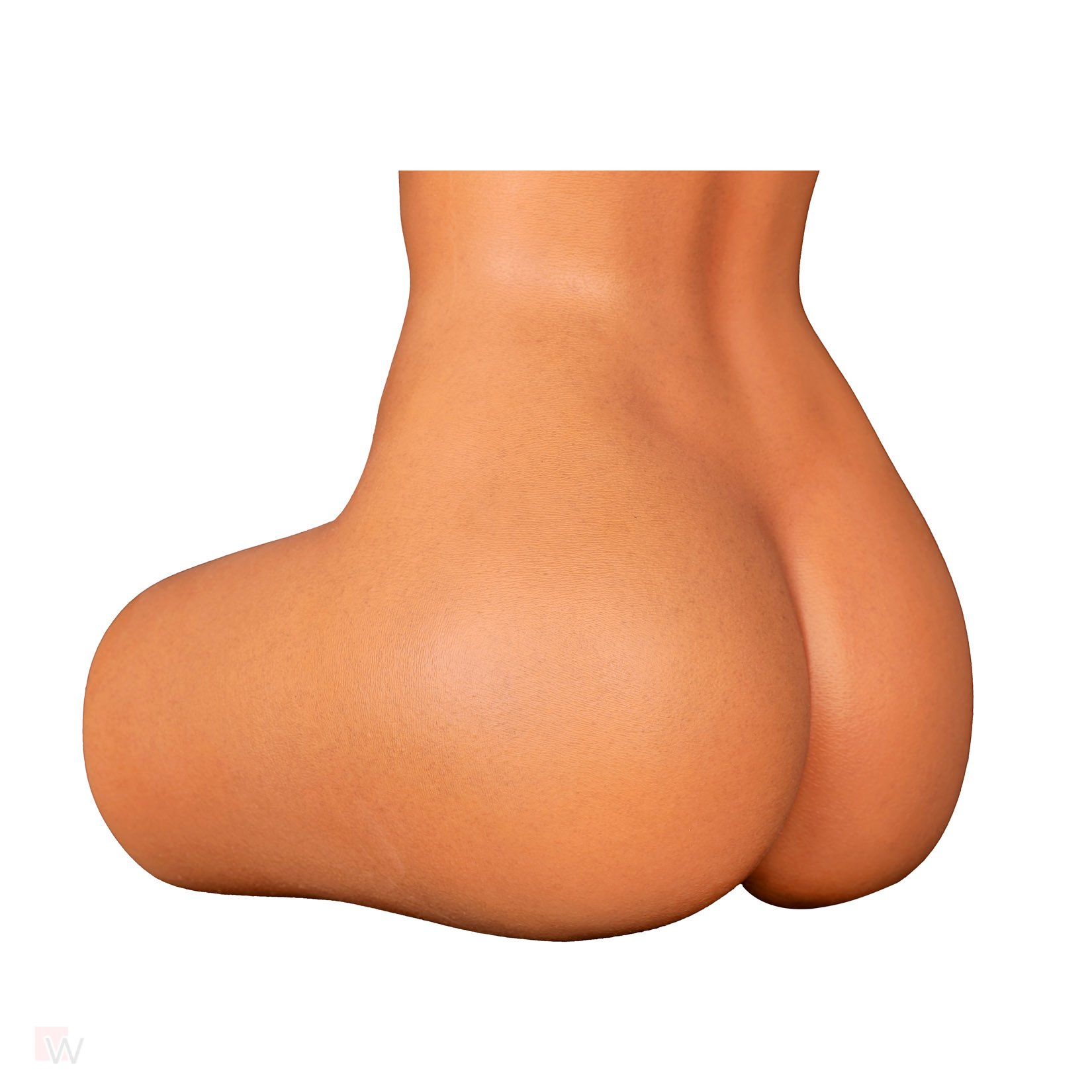 Sex Doll Torso Gina – Bild 6