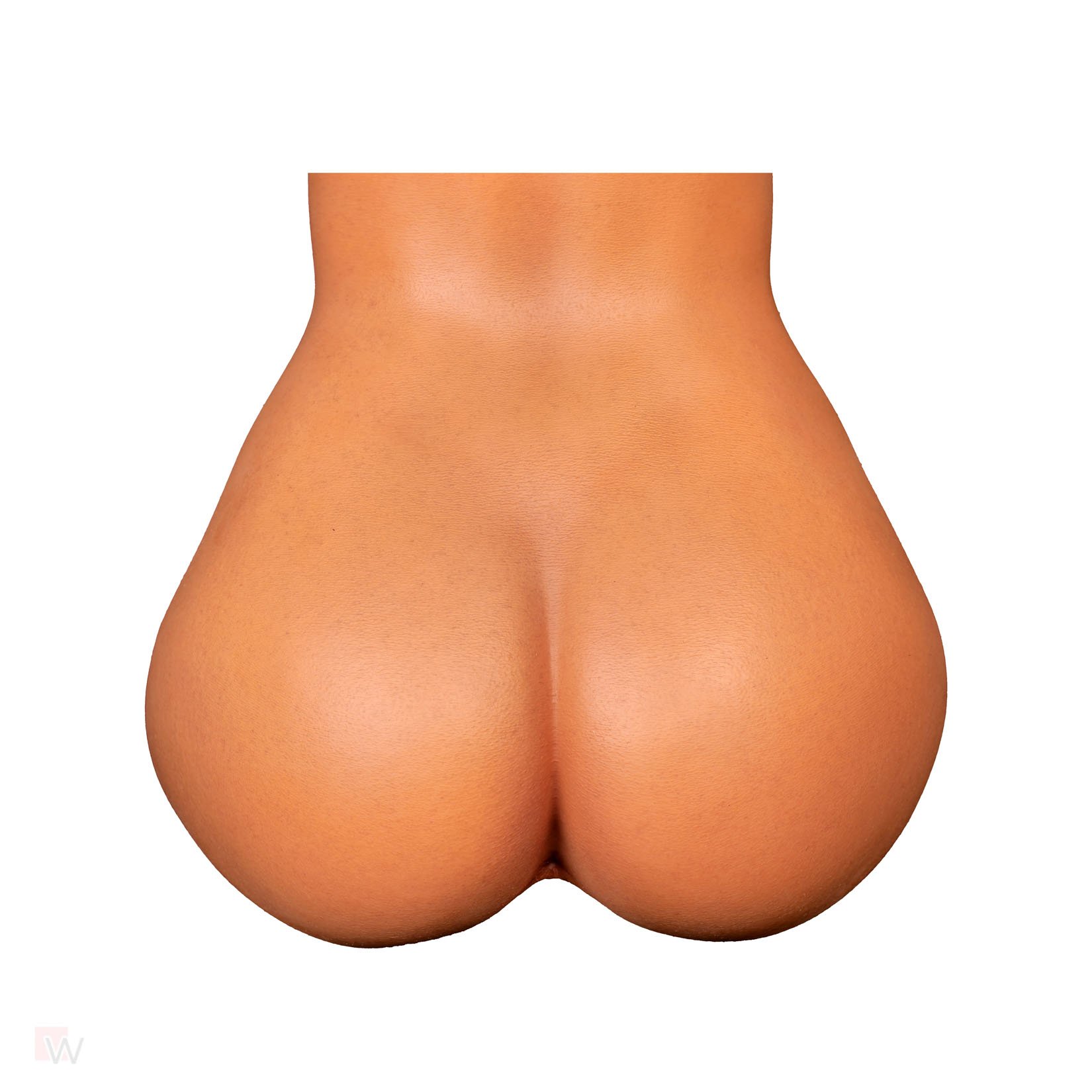 Sex Doll Torso Gina – Bild 7