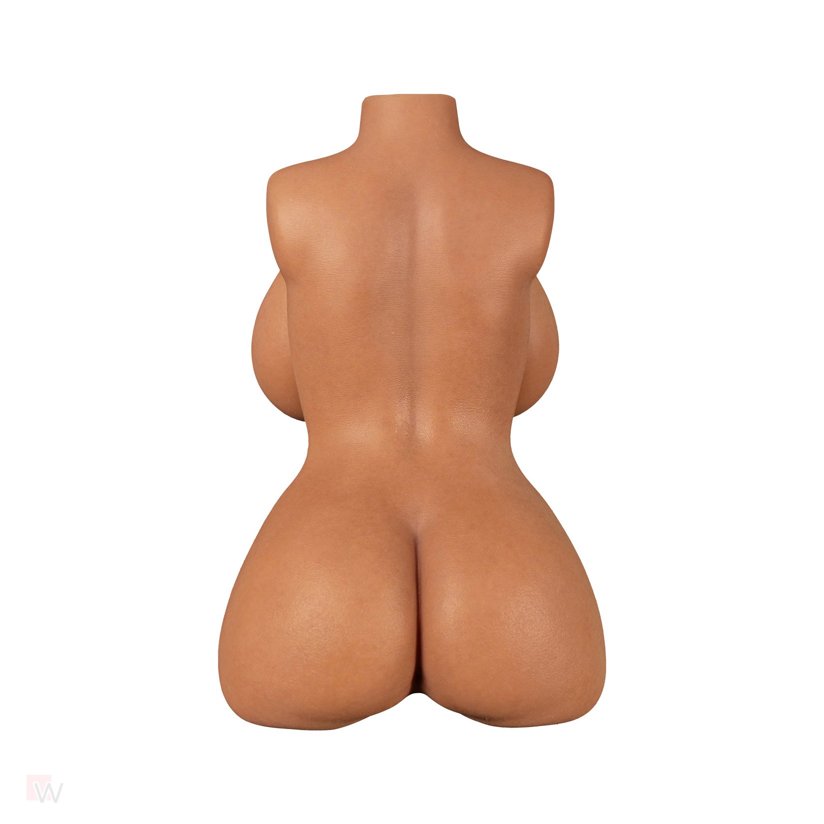 Sex Doll Torso Veronica – Bild 7