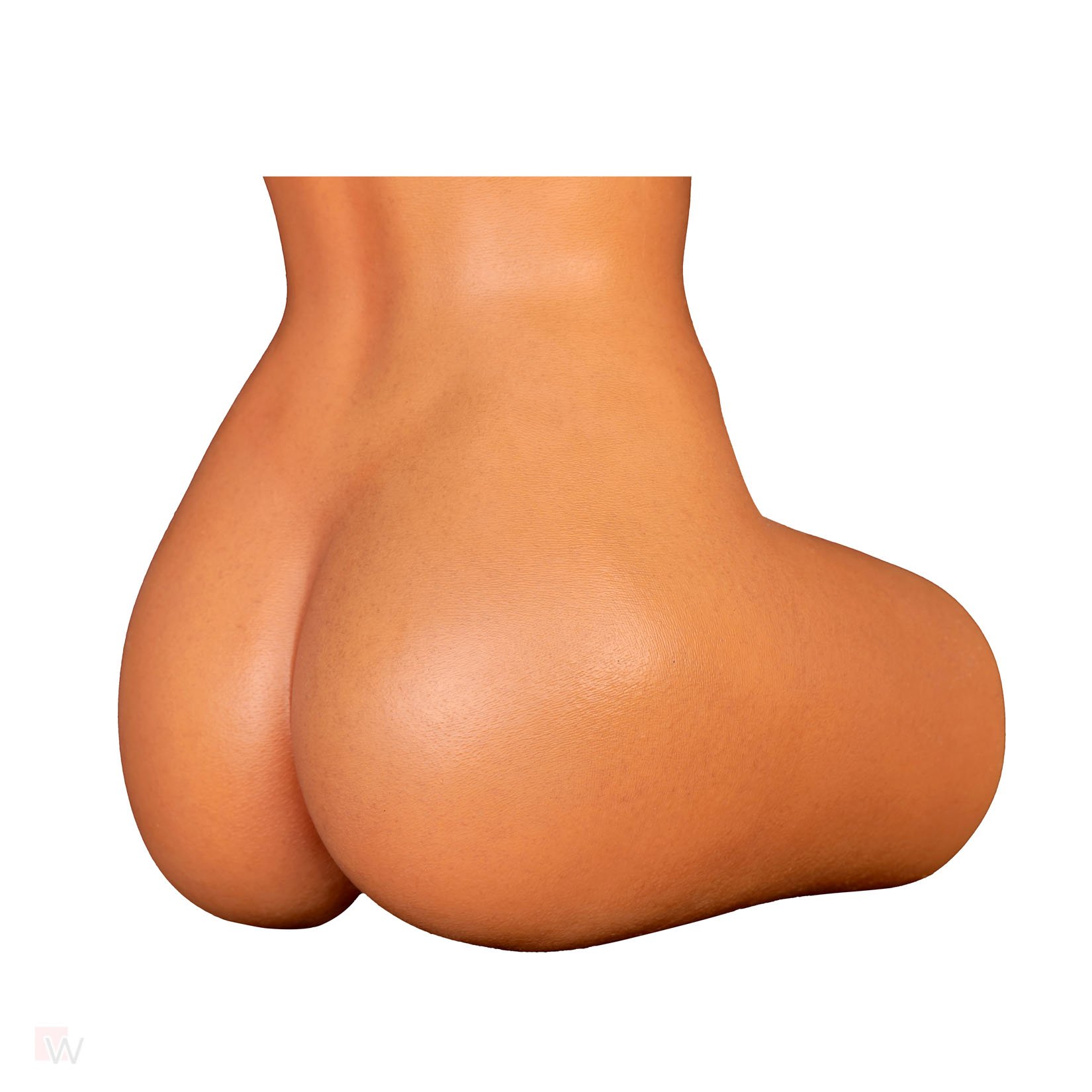 Sex Doll Torso Gina – Bild 8