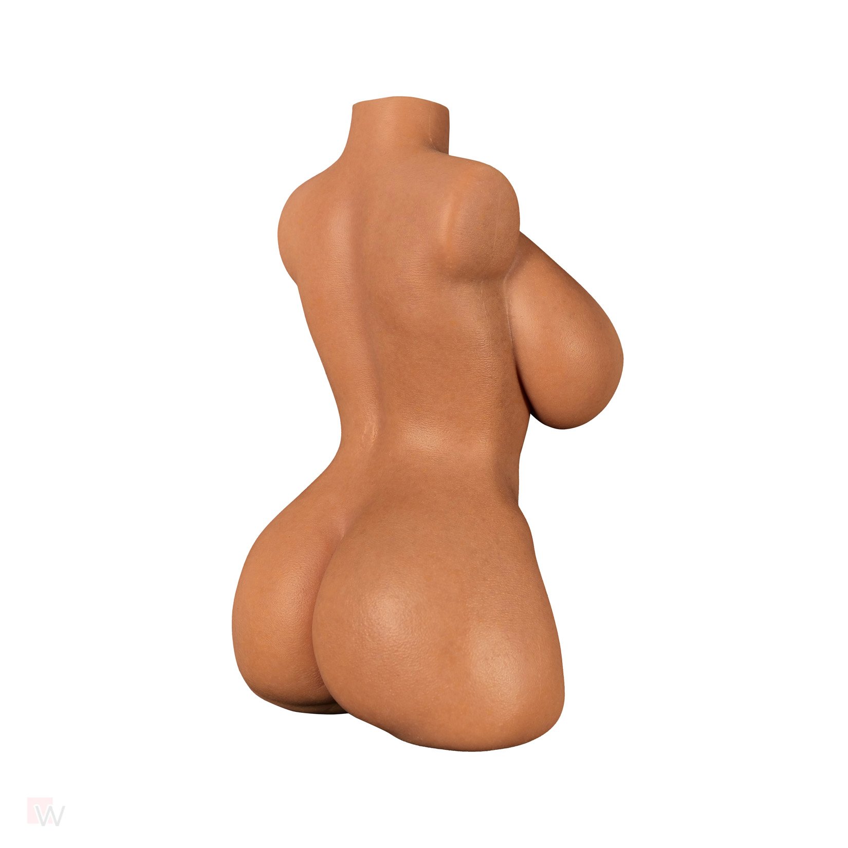 Sex Doll Torso Veronica – Bild 8