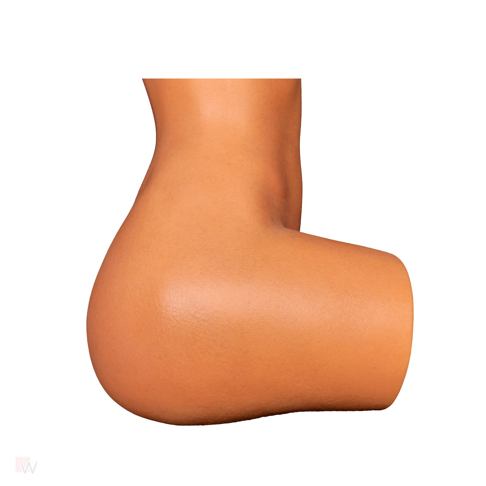 Sex Doll Torso Gina – Bild 9