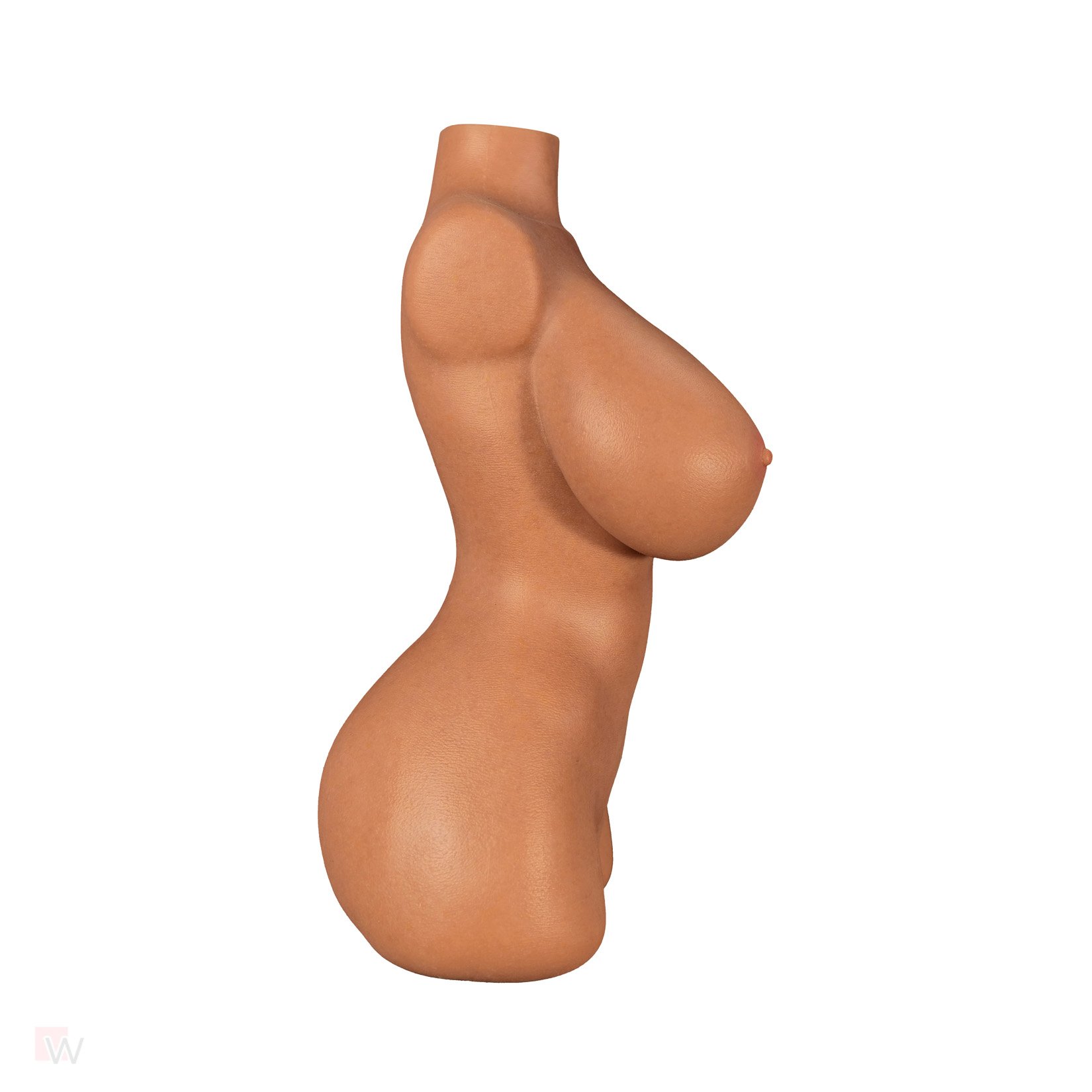 Sex Doll Torso Veronica – Bild 9